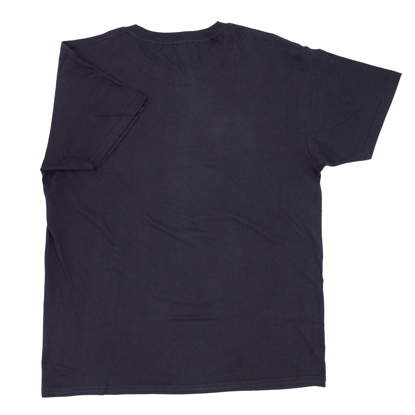 Paradise Bangkok Molam International Band logo T-shirt