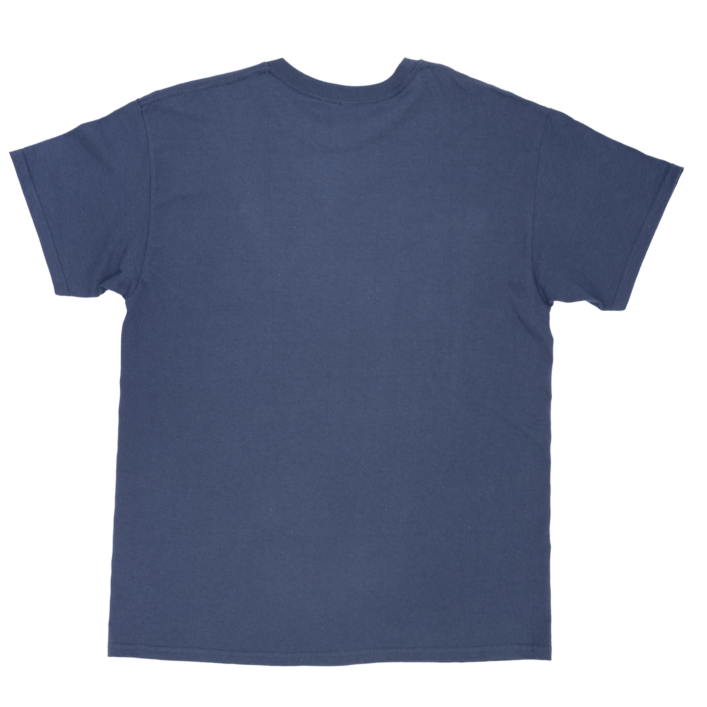 Paradise Bangkok Molam  International Band logo T-shirt