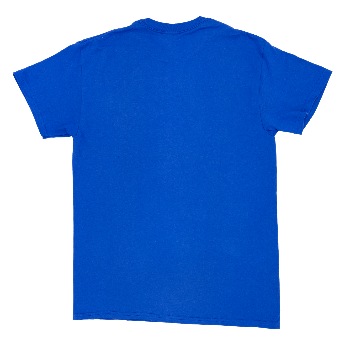 Paradise Bangkok Molam  International Band logo T-shirt