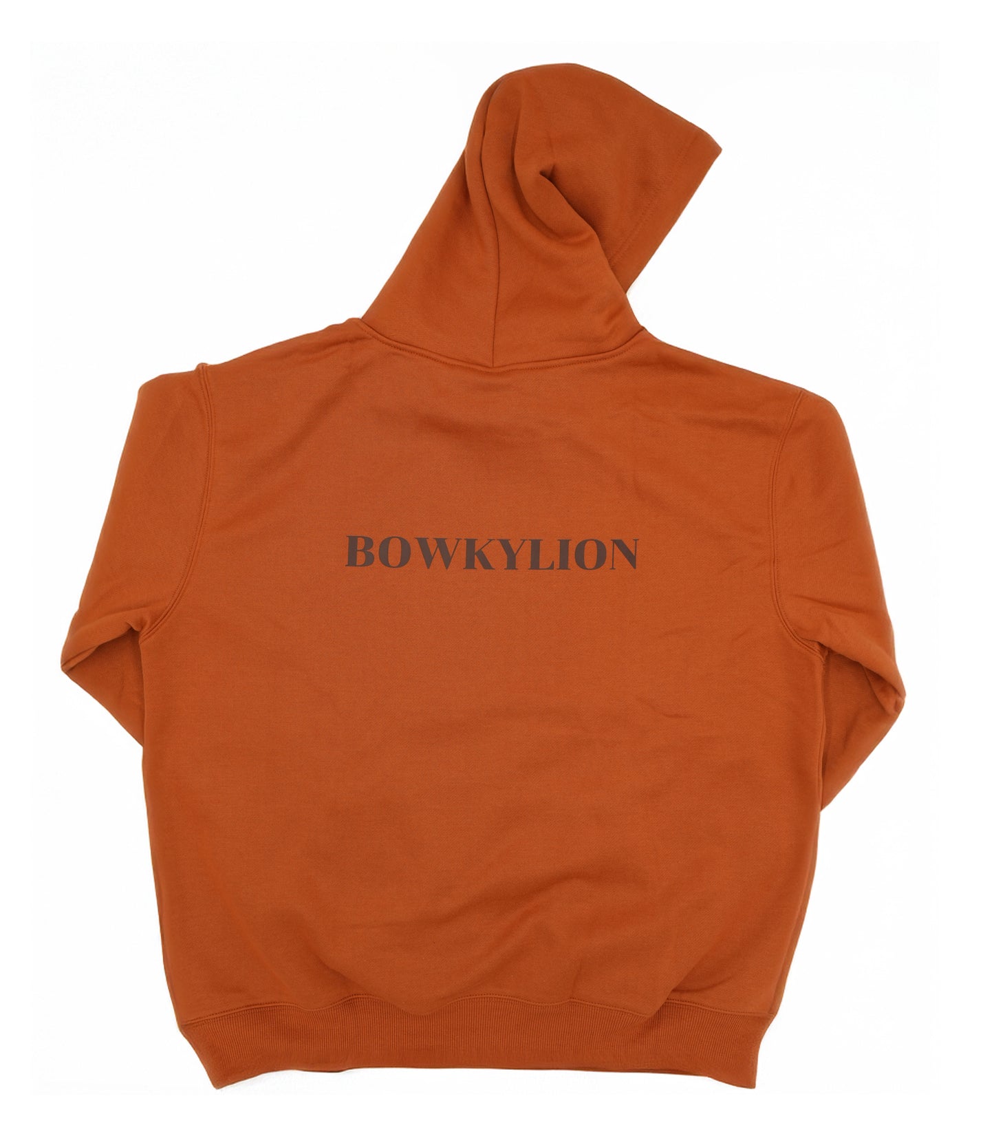 "BOWKYLION LANTA CONCERT"Hoodie